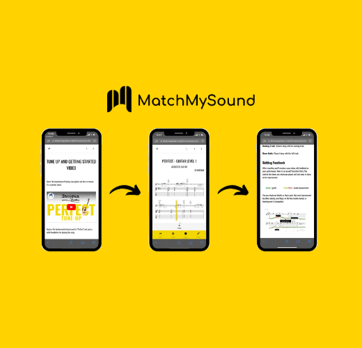 MatchMySound X Sheeran By Lowden