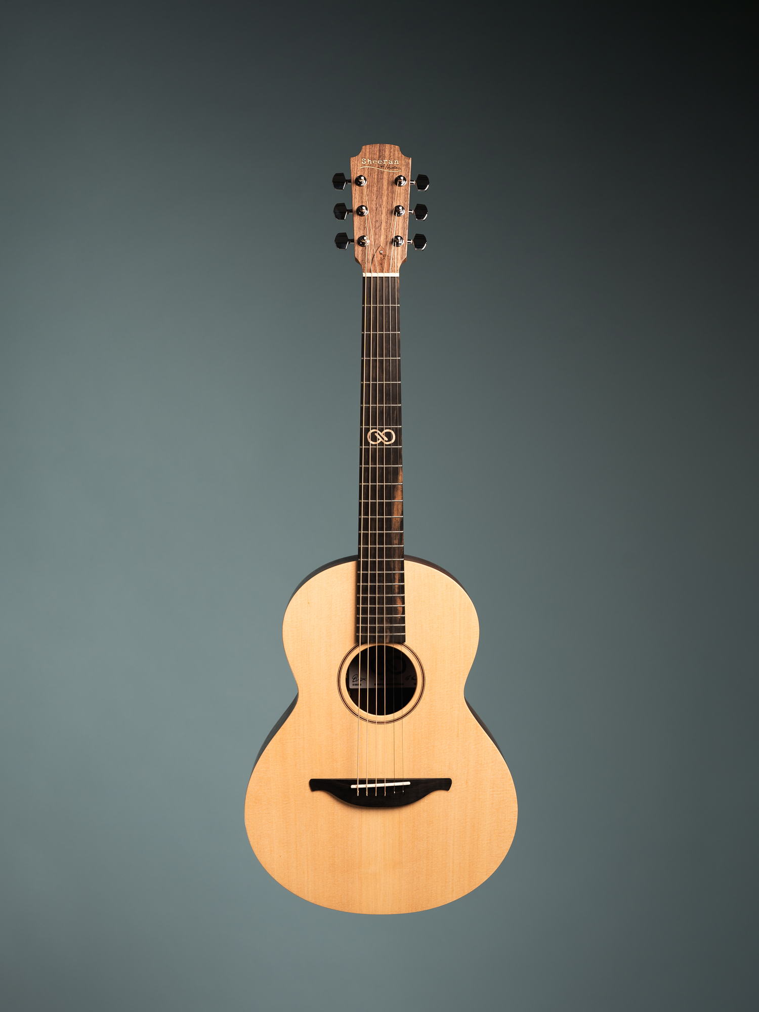 Loop Tour Model